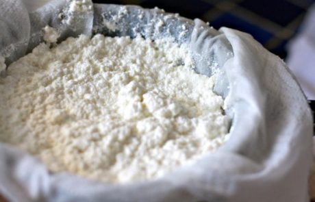 ricotta brebis bio