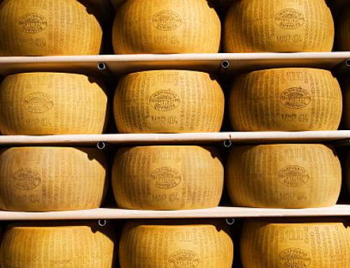 Grossiste en fromages : achetez du fromages en gros