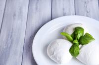 FOURNISSEUR MOZZARELLA
