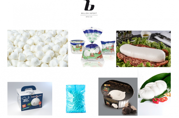 vente de mozzarella pour professionnels
