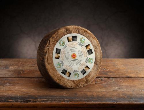 Pecorino Toscano AOP : pasta tenera, stagionato et usages professionnels