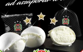 fournisseur mozzarella italienne aop