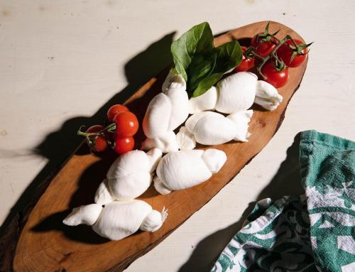 Importer de la mozzarella d’Italie : guide professionnel frais, IQF et AOP