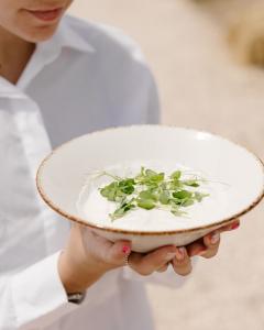 burrata