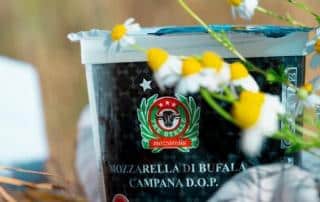 fromages italiens premium