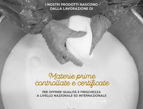 Fromages italiens en portions et formats industriels : ce que les acheteurs avisés savent