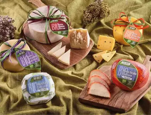 Fromages italiens haut de gamme et spécialités rares pour professionnels