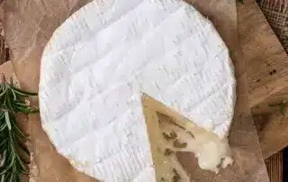 camembert bufala italie fournisseur
