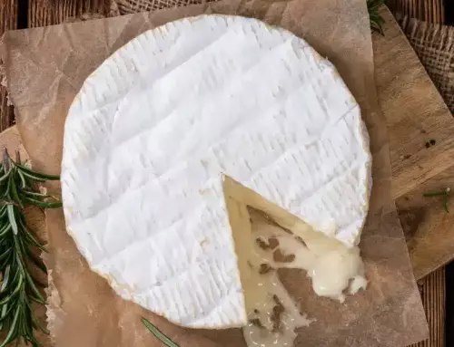 Camembert de Bufala : spécialité italienne premium pour professionnels
