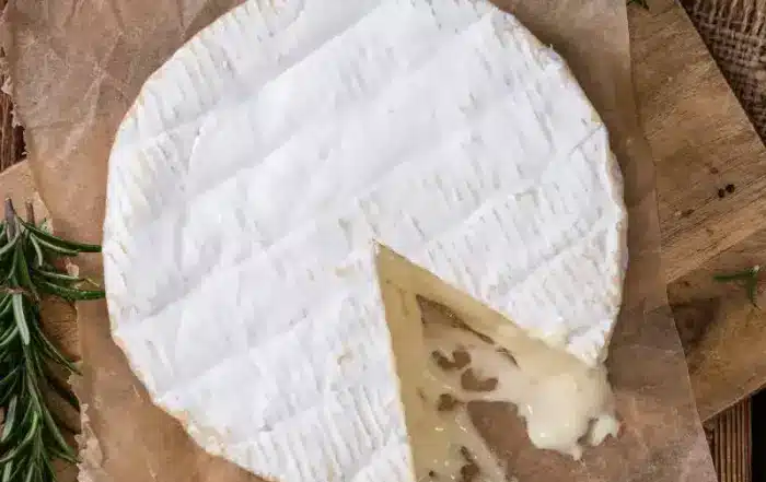 camembert bufala italie fournisseur