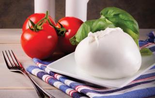 fournisseur mozzarella professionnelle