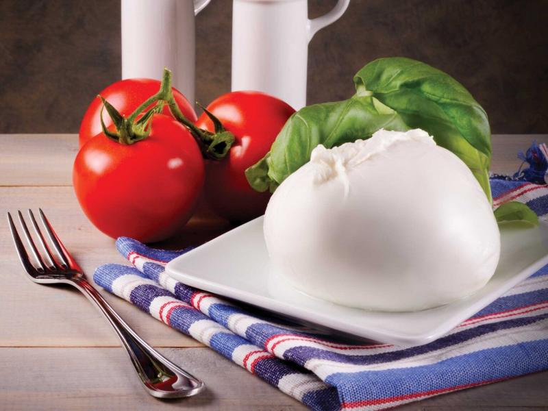fournisseur mozzarella professionnelle