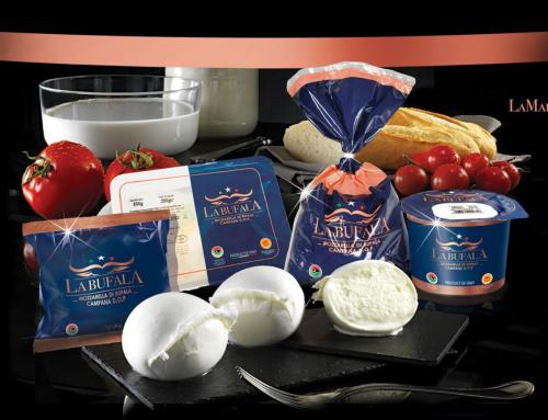Comment choisir un grossiste en fromage italien ?
