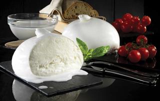 grossiste mozzarella professionnelle