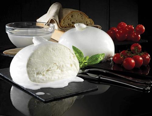 Fournisseur de mozzarella : comment choisir pour la restauration ou l’industrie ?
