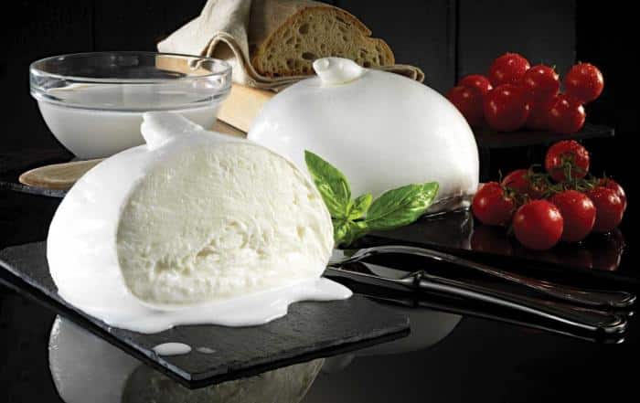 grossiste mozzarella professionnelle